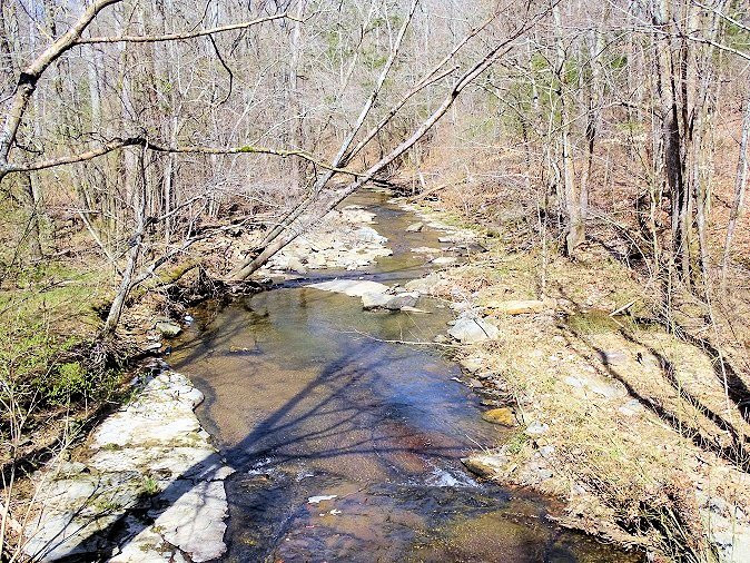 Beaman Park Nature Center景点图片