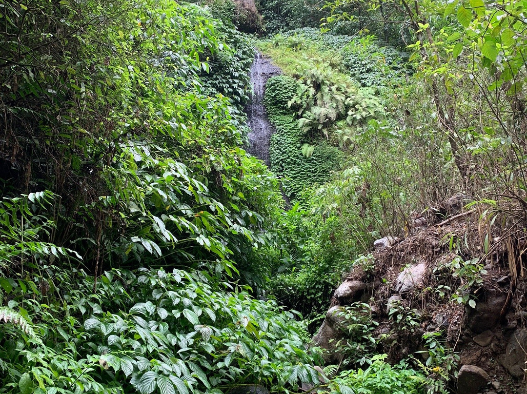 Fiji and sekumful waterfall trekking-新加拉惹必去景点