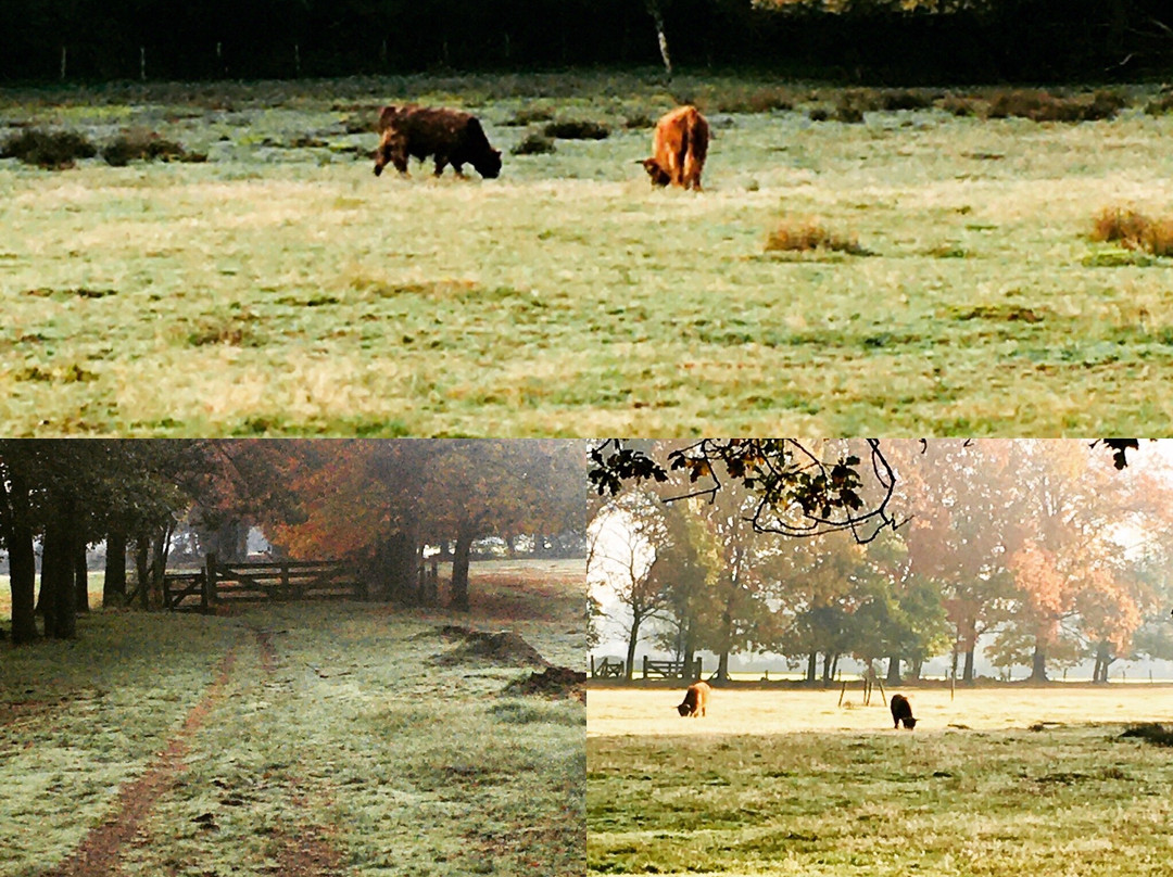 Bakel旅游攻略图片