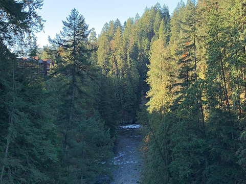 Viva Tours & Charters-北温哥华必去景点