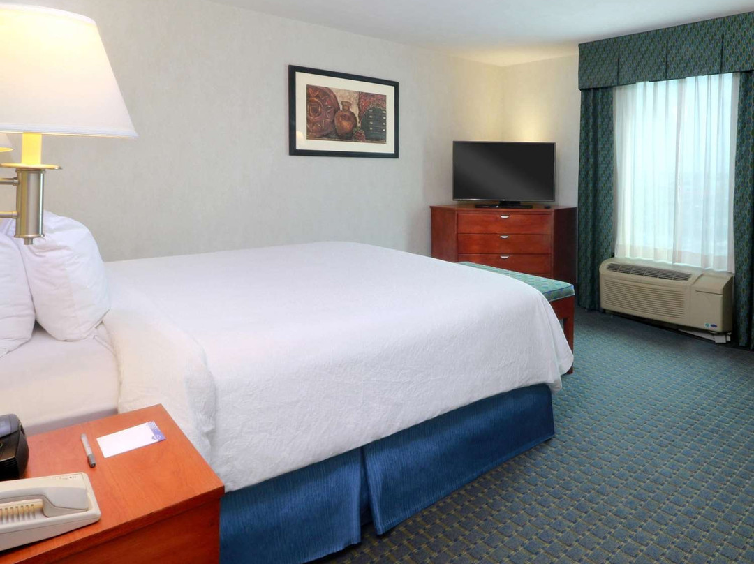 Hampton Inn by Hilton Reynosa/Zona Industrial主图