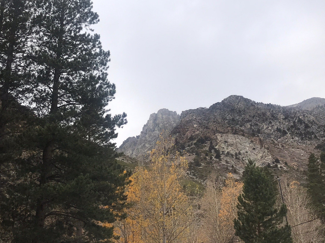 Gull Lake Park-六月湖必去景点