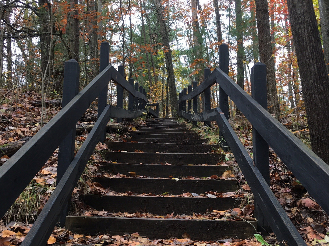 Newaygo State Park景点图片