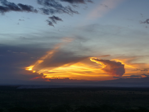 Parkview野生动物园旅馆主图