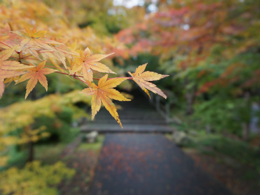 Ankokuji Temple-绫部市必去景点