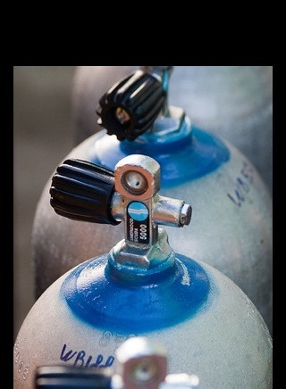 Wannadive Bonaire-Kralendijk必去景点