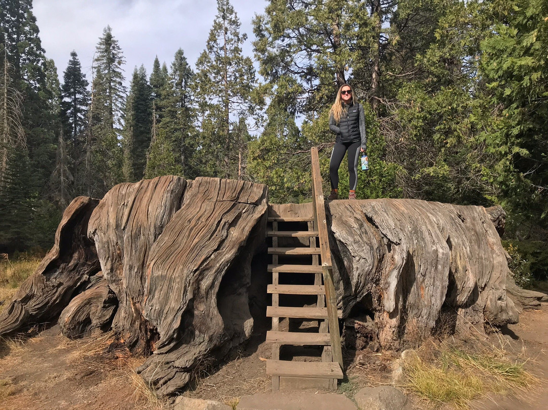 Big Stump Basin-红杉&国王峡谷国家公园必去景点