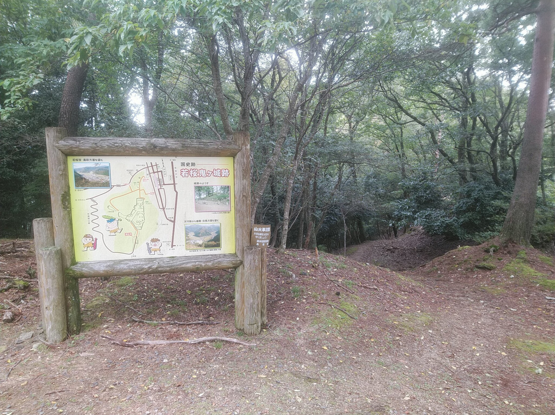 The remains of Wakasaonigajo Castle景点图片