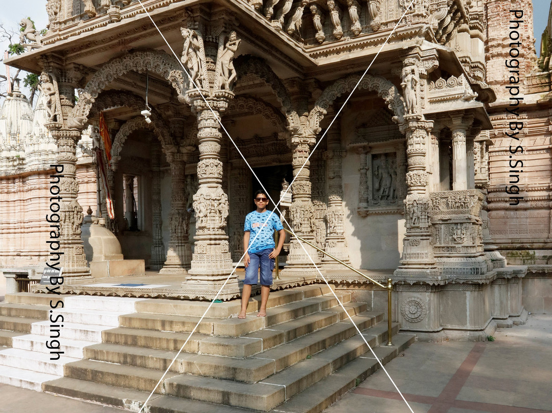 Hathee Singh Jain Temple景点图片