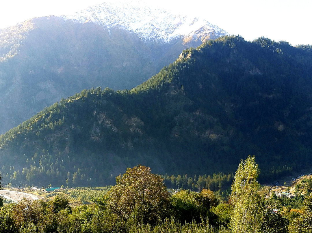 OYO 36108 Hotel Madhu主图