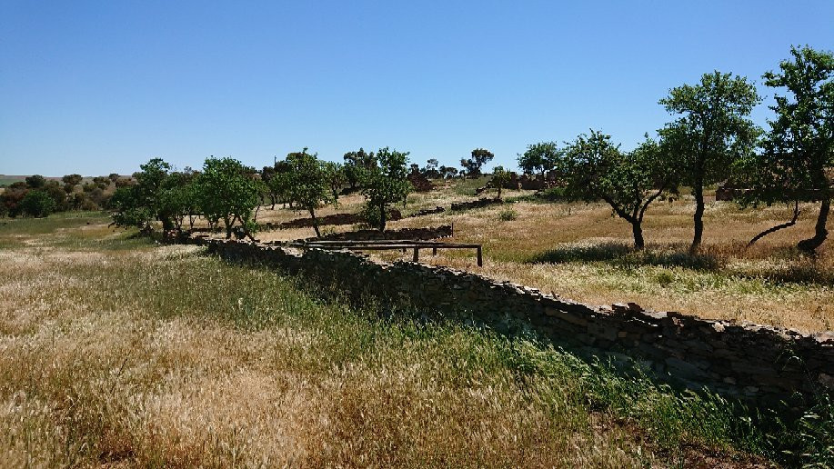 Hampton Township Ruins-Burra必去景点