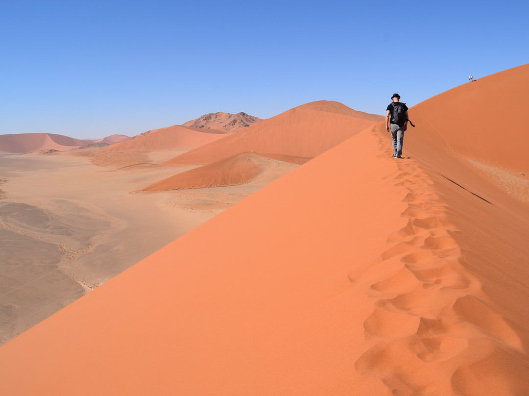 Namib Desert景点图片