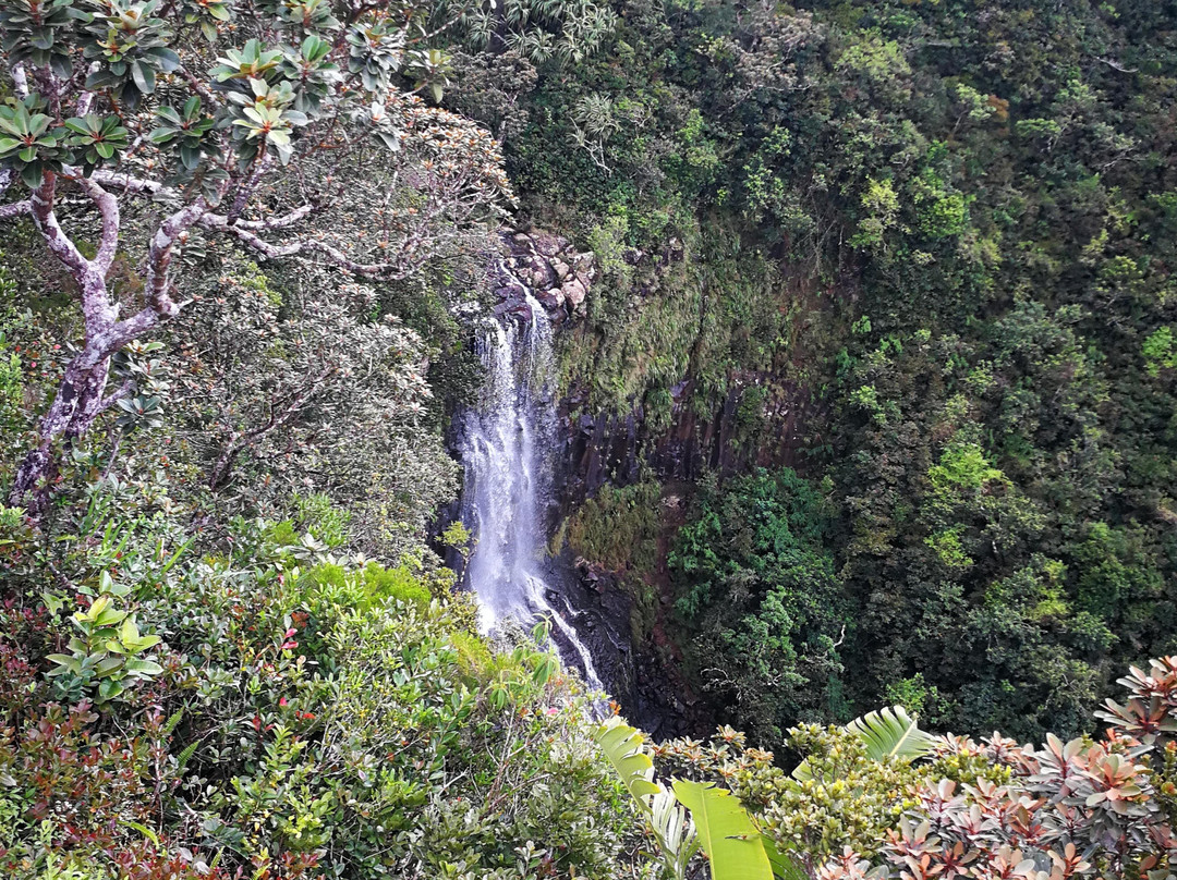 Taxi Service in Mauritius-大湾必去景点