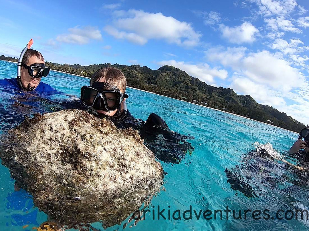 Ariki Adventures-拉罗汤加必去景点