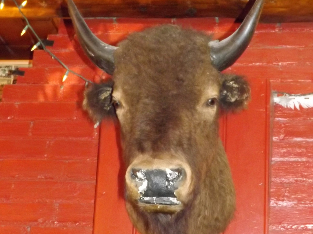 Turquoise Trail-新墨西哥必去景点