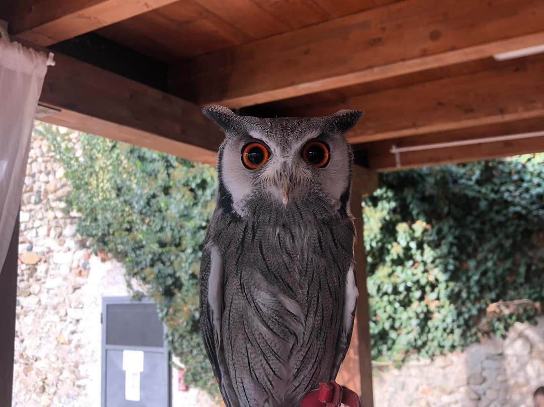 Bim Bum Baaam Fantaparco Fattoria Didattica-Bussoleno必去景点