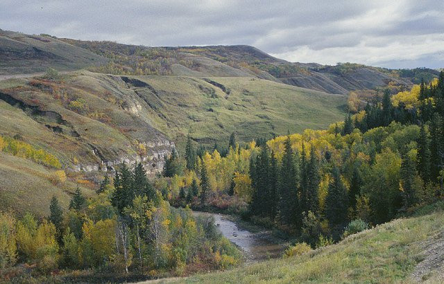Greene Valley Provincial Park景点图片