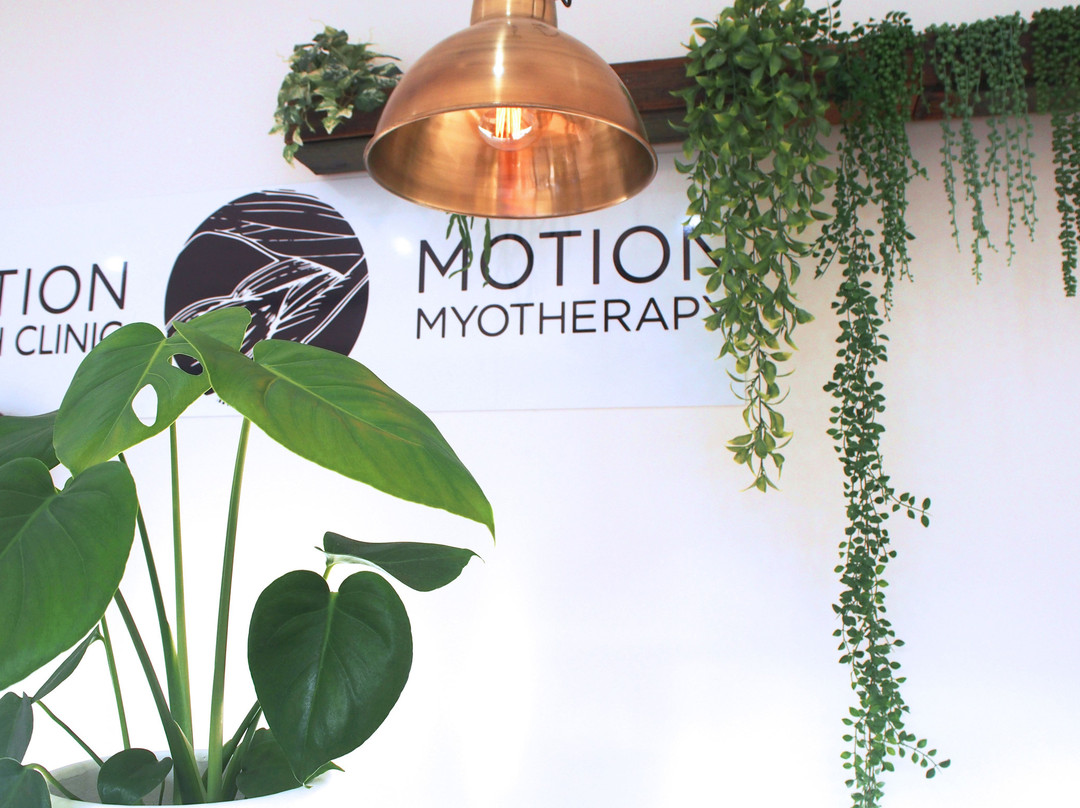 Thornbury旅游景点-Motion Myotherapy