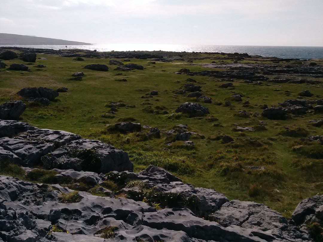 The Burren-克莱尔郡必去景点