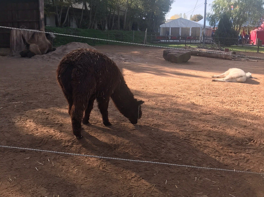 Erlebnispark Memleben-Memleben必去景点