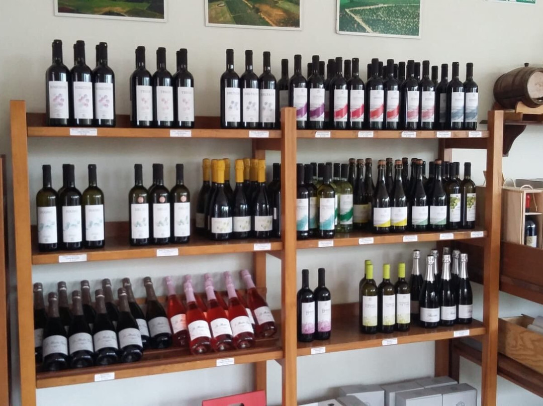 Cantine Bonelli景点图片