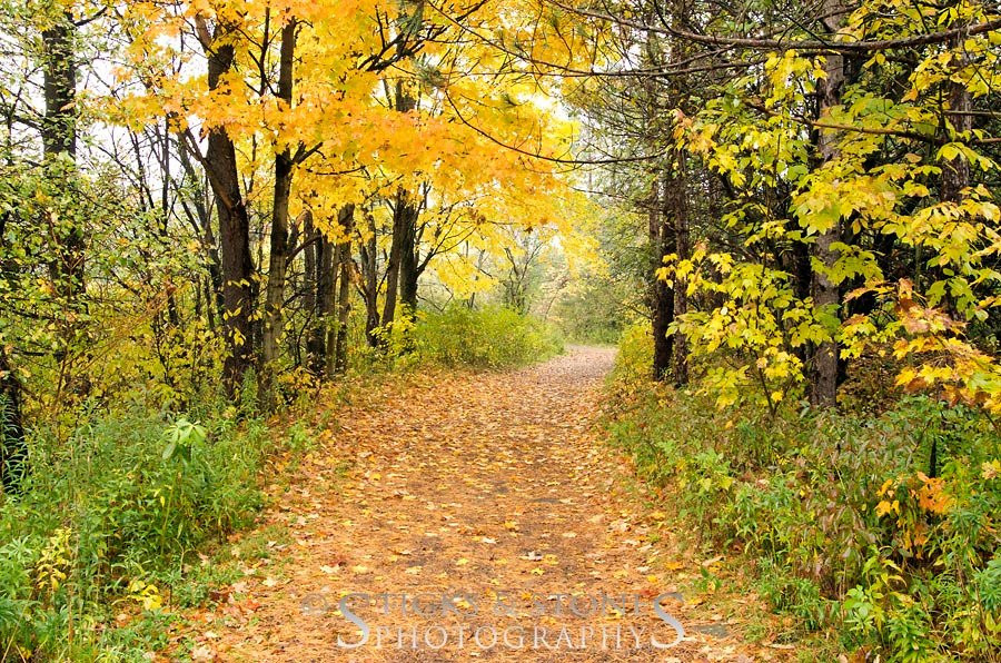 Lime Hollow Nature Center景点图片