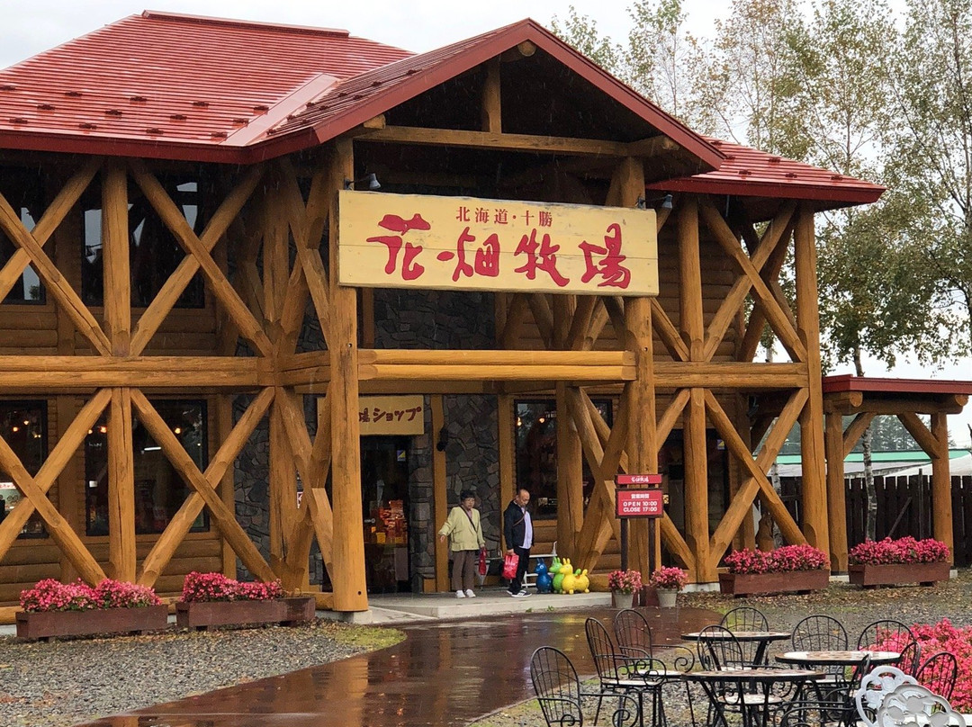 花畑牧場-中札内村必去景点