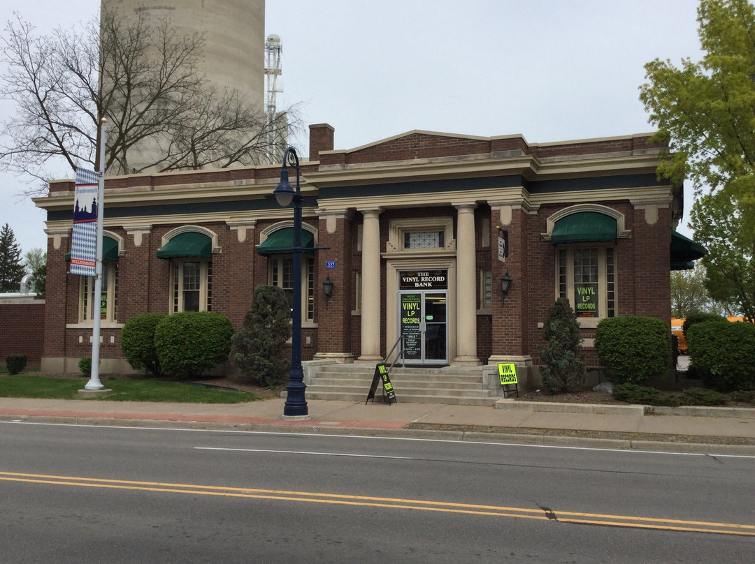 The Vinyl Record Bank-弗兰肯默斯必去景点