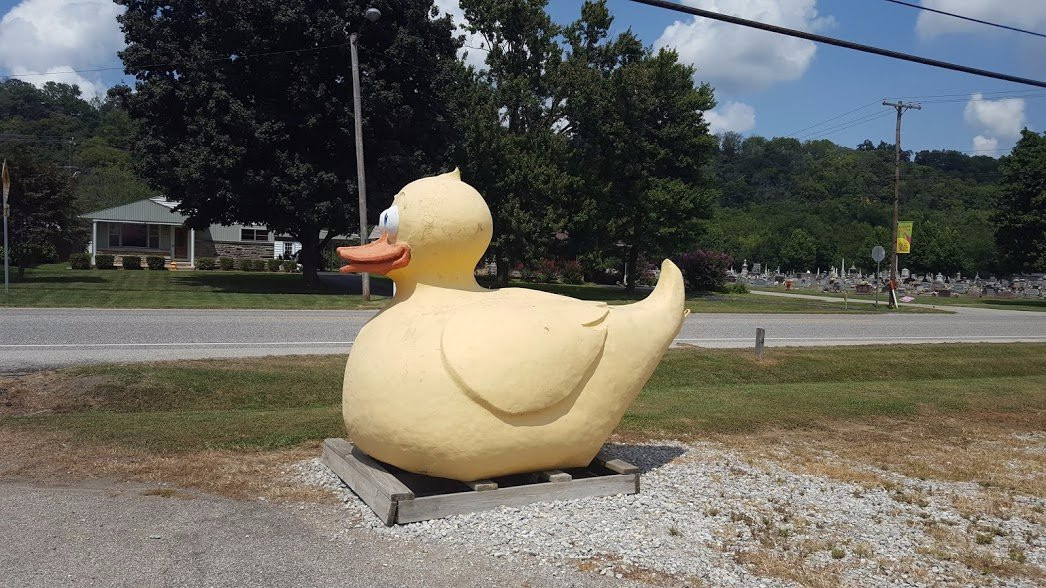 Giant Rubber Duckie景点图片