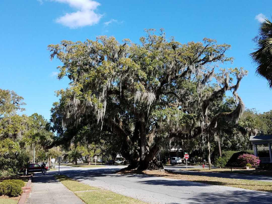 不伦瑞克旅游景点-Lover's Oak
