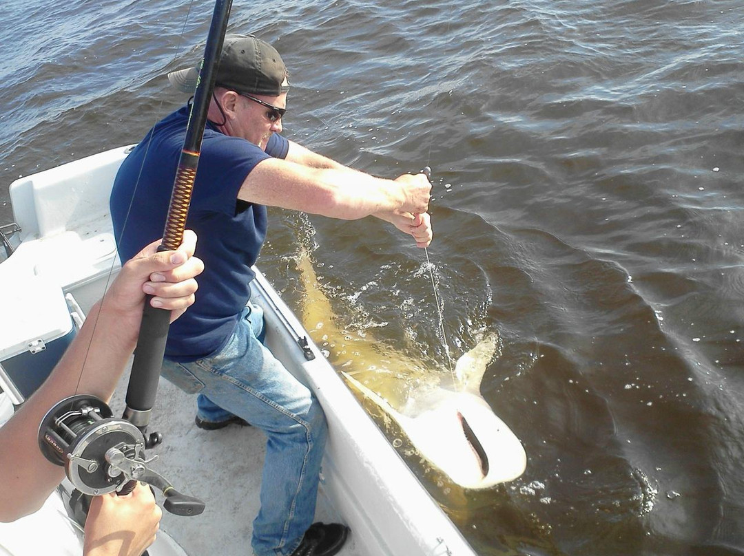 Mad Shark Charters-Darien必去景点