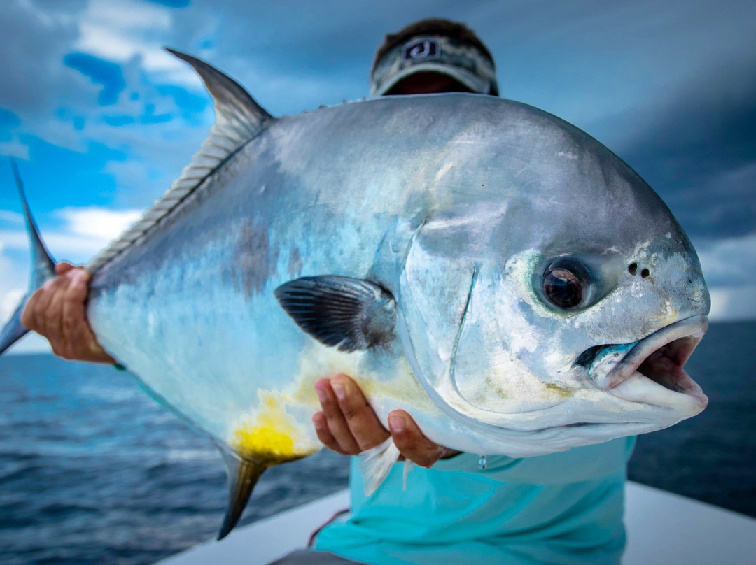 On a Mission Fishing Charters-那不勒斯必去景点