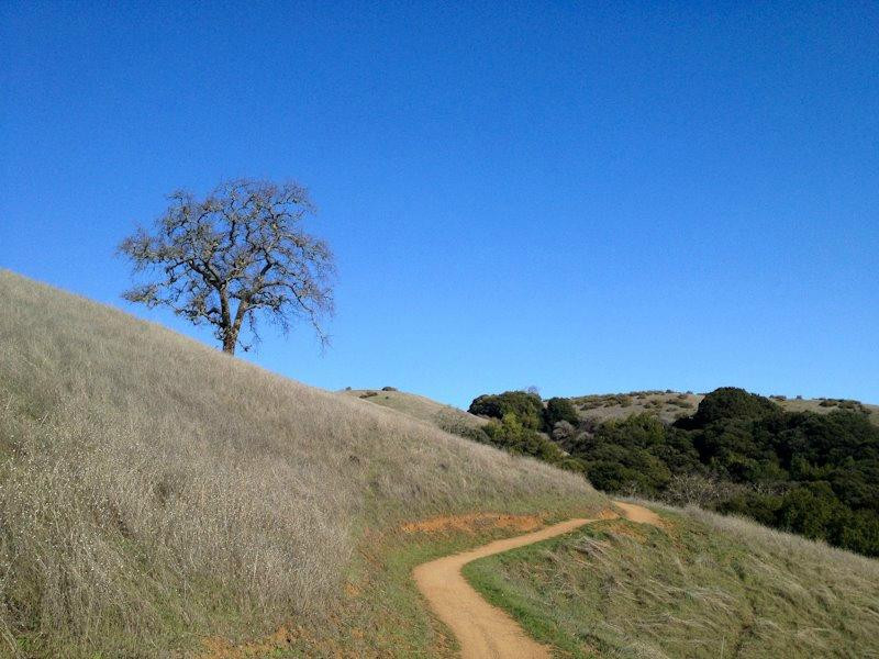 Monte Bello Open Space Preserve景点图片