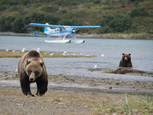 Sea Hawk Air-Kodiak必去景点