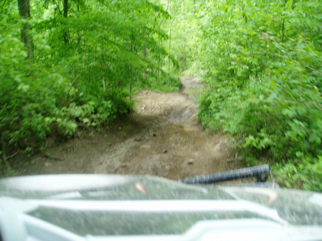 Hatfield-McCoy Trail-Lyburn必去景点