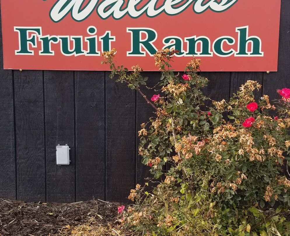 walter’s Fruit Stand景点图片