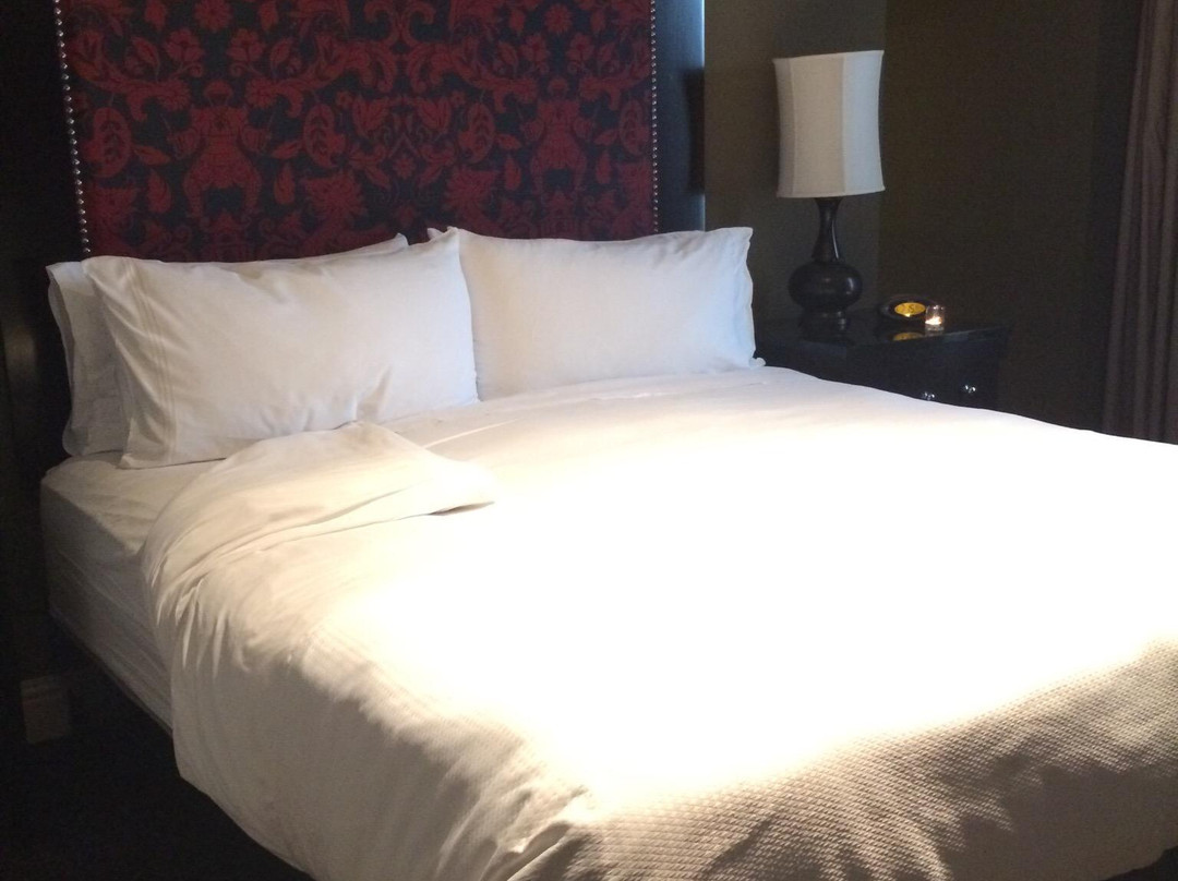 Zaspa Houston Museum District