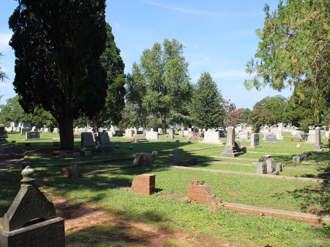 Elmwood Cemetery景点图片