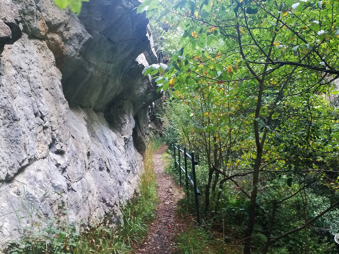 Gorges de Saint-Jaume景点图片