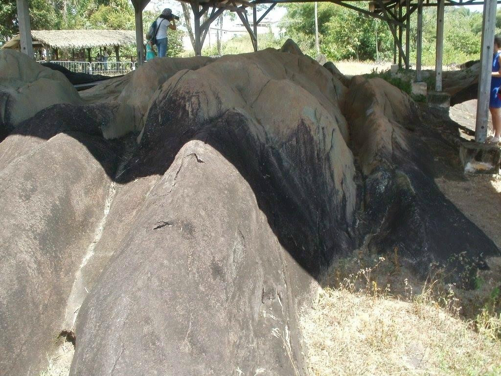 Centre d'Archéologie Amérindienne de Kourou景点图片