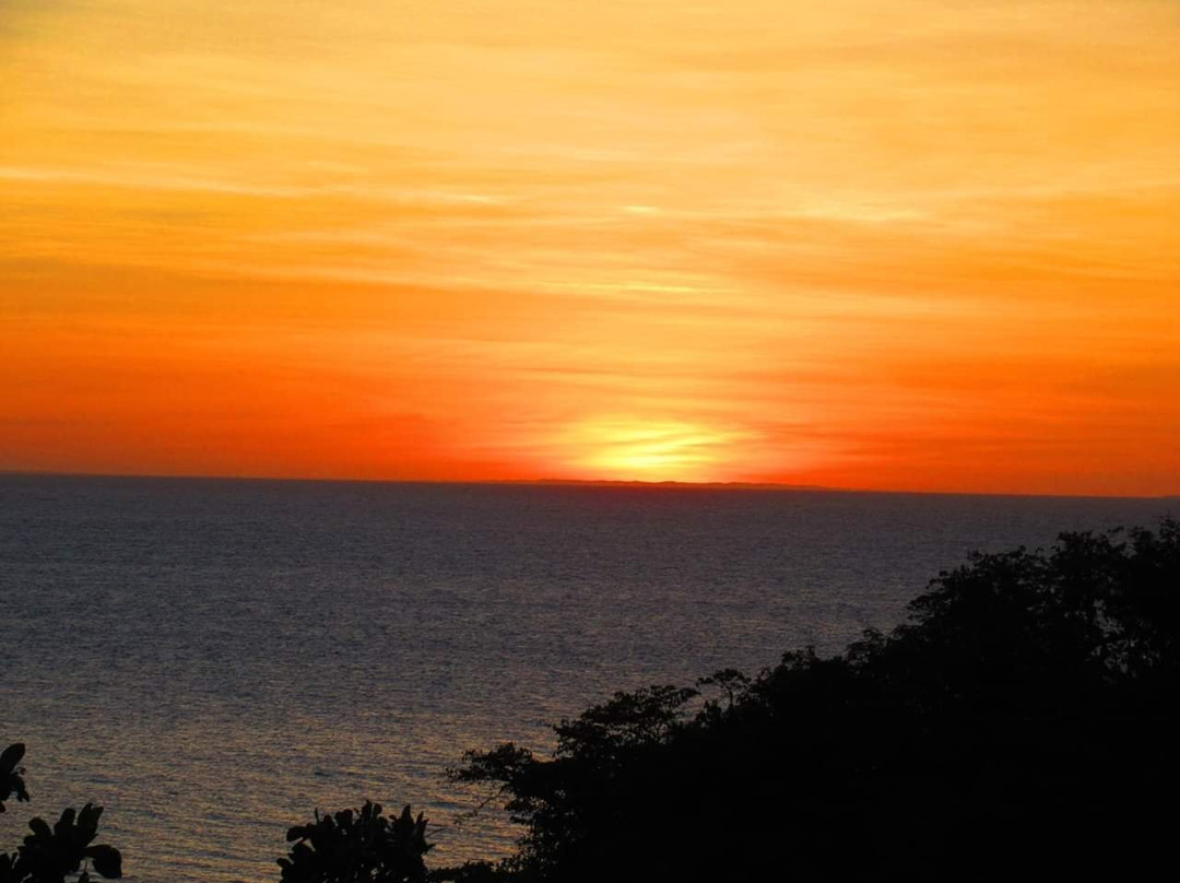 东方红树圣地酒店主图