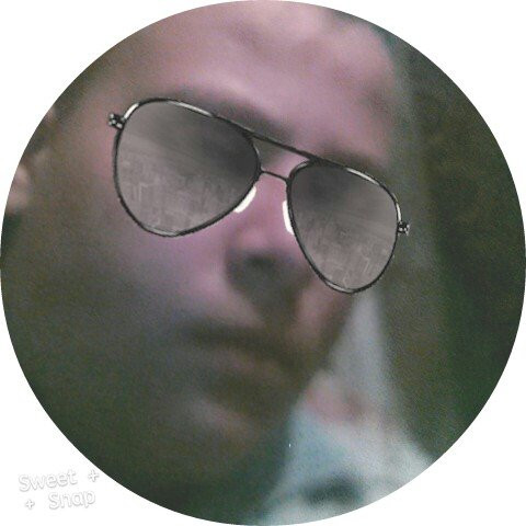 Damanhur旅游攻略图片