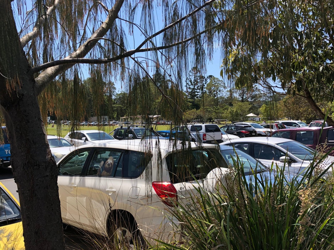 Yandina Markets景点图片