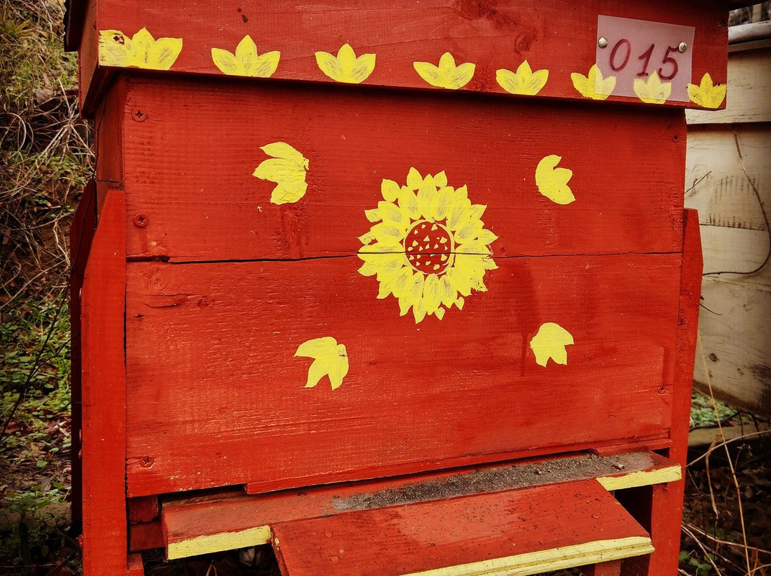 Zarapovo Honey House-Vishovgrad必去景点