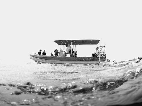 Swimming with Whales at Sandy Beach Resort-Foa Island必去景点