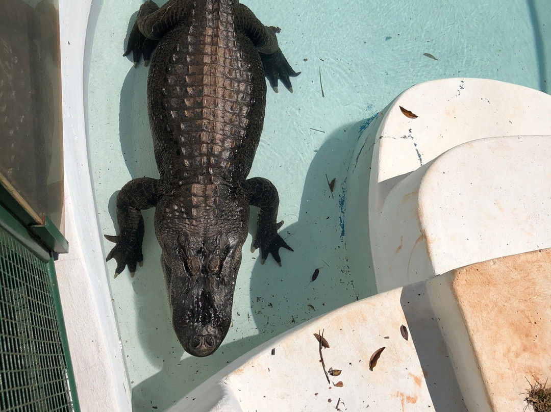 Bio Centro Iguazu-伊瓜苏港必去景点