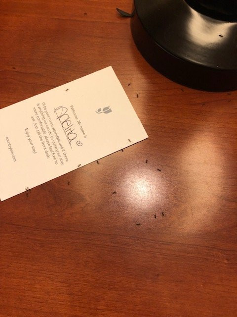 Country Inn & Suites by Radisson, Peoria North, IL主图