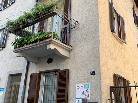 B&B e Movimento主图