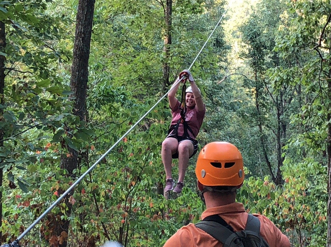 Screaming Eagle at Lake Guntersville-Guntersville必去景点