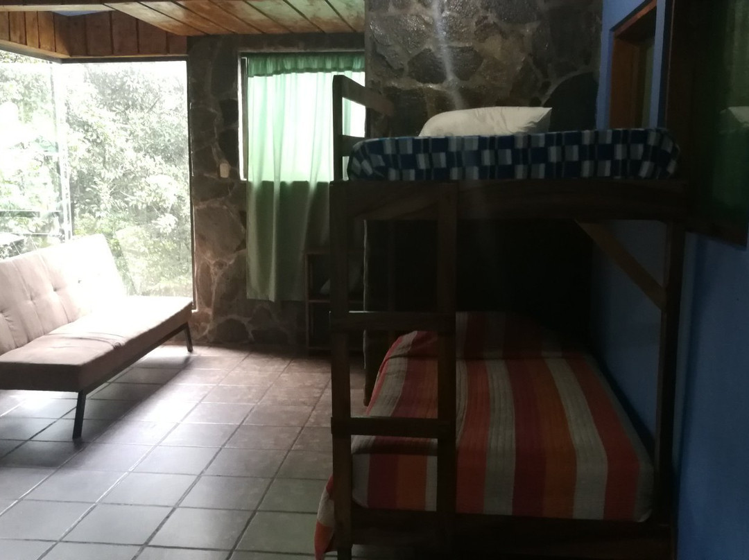 Forest Dreams & Manakin Lodge主图